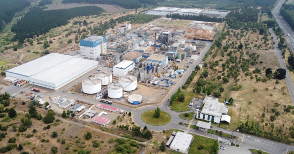 Aerial view of BENEO’s Pemuco production site in Chile, surrounded by woodland and agricultural land.