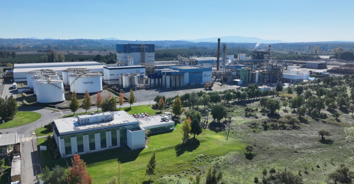 BENEO's production site in Pemuco, Chile, celebrating 20 years of partnership and sustainable chicory root fibre production
