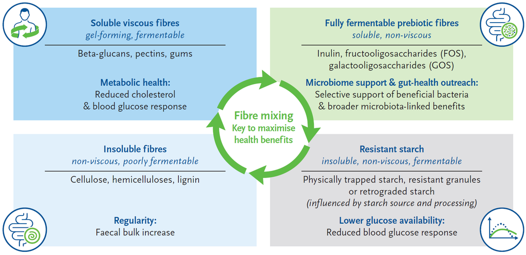 Fibre diversity diagram illustrating that not all dietary fibres are alike.