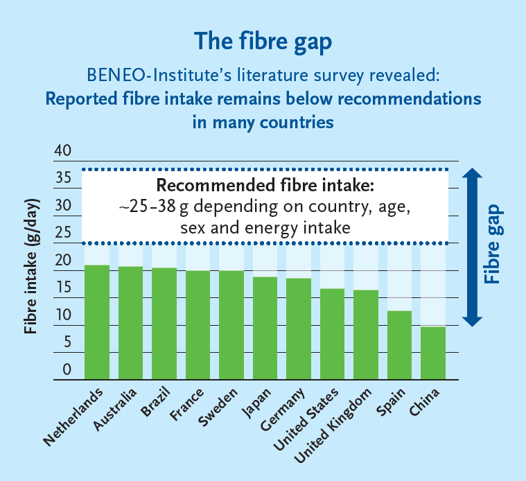 Bar chart showing reported daily fibre intakes across 11 countries compared with an indicative recommendation range of 25–38 grams per day.