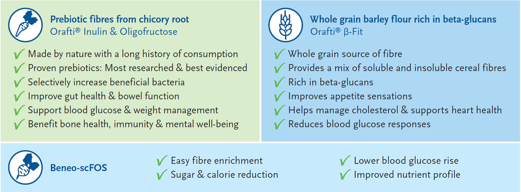 Overview of chicory root inulin and oligofructose, wholegrain barley flour and BENEO-scFOS, highlighting their different nutritional and formulation benefits.